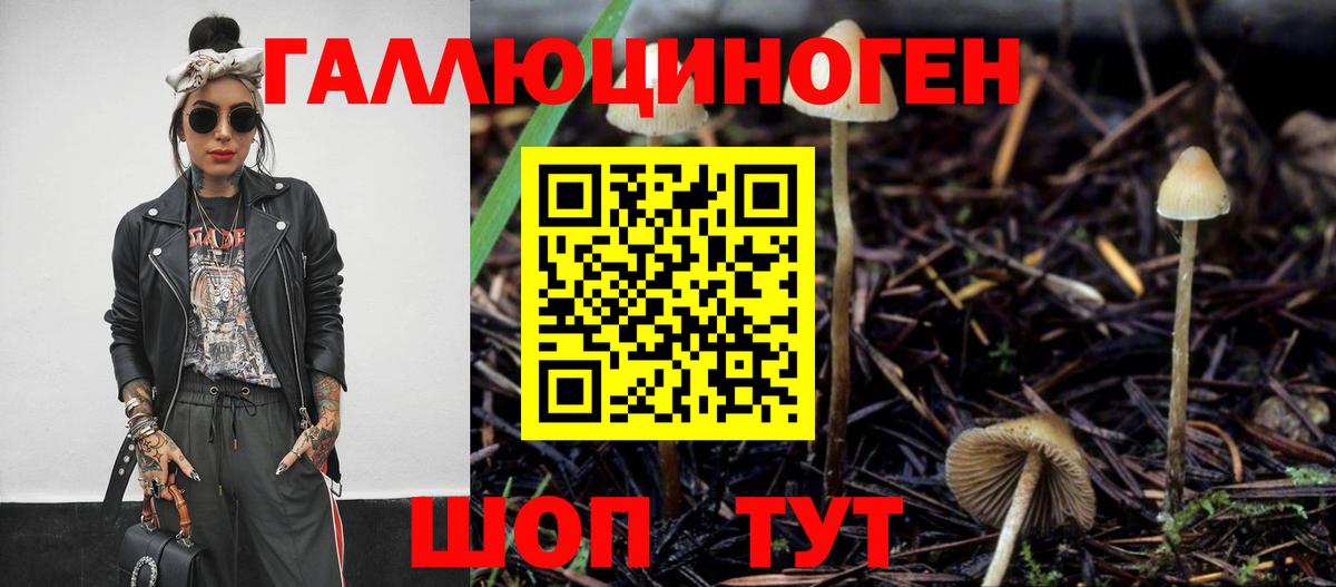 Дивногорск  Псилоцибиновые грибы мицелий  Галлюциногенные грибы Psilocybine cubensis  где можно купить   Вход с VPN 